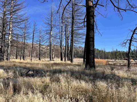 10069 Dixie Valley Rd, Chilcoot, CA 96105 photo 3
