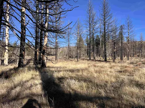 10069 Dixie Valley Rd, Chilcoot, CA 96105 photo 15