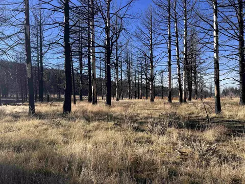 10069 Dixie Valley Rd, Chilcoot, CA 96105 photo 16