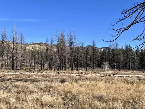 10069 Dixie Valley Rd, Chilcoot, CA 96105 photo 13