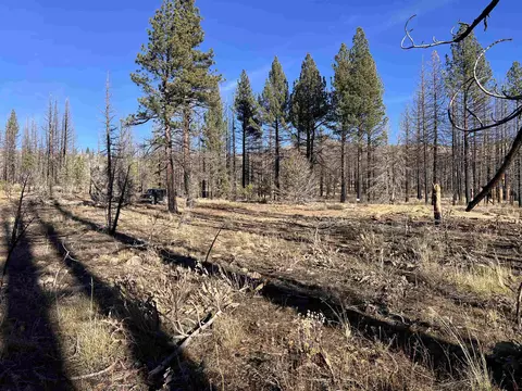 10069 Dixie Valley Rd, Chilcoot, CA 96105 photo 18