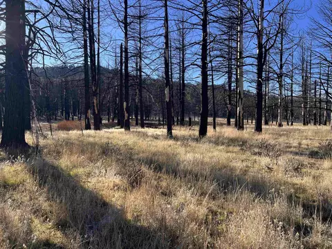 10069 Dixie Valley Rd, Chilcoot, CA 96105 photo 17