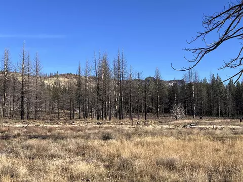 10069 Dixie Valley Rd, Chilcoot, CA 96105 photo 14