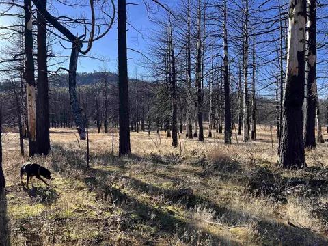 10069 Dixie Valley Rd, Chilcoot, CA 96105 photo 19