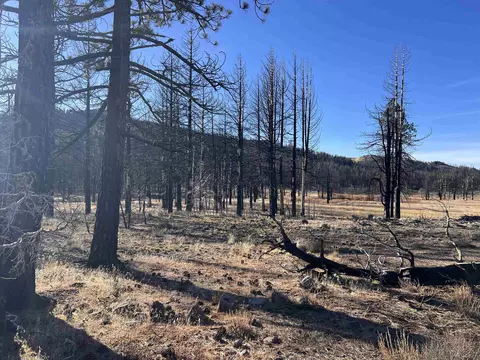 10069 Dixie Valley Rd, Chilcoot, CA 96105 photo 20