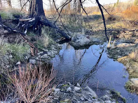 10069 Dixie Valley Rd, Chilcoot, CA 96105 photo 7