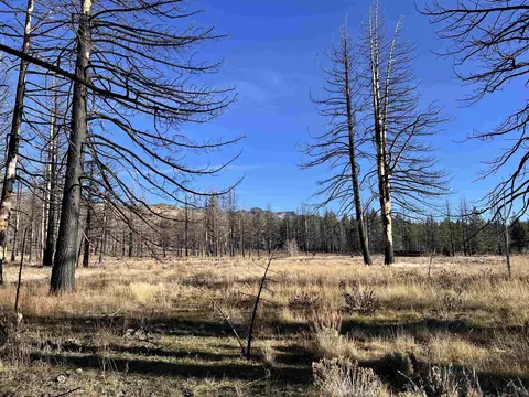 10069 Dixie Valley Rd, Chilcoot, CA 96105