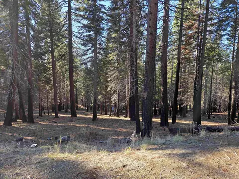 118 Goose Bay View Trl, Lake Almanor West, CA 96020