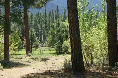 1009 Prospector Dr, Clio, CA 96106 photo 3