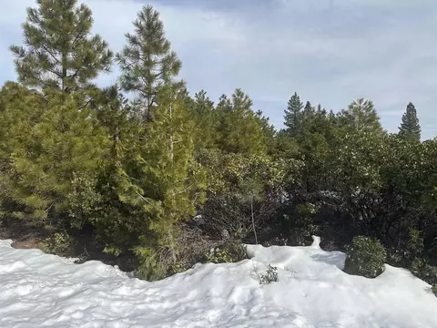 273 Walsh Ct, Lake Almanor, CA 96137