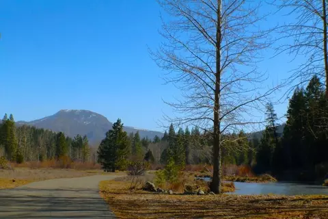 Other - 1000 Golden Feather Ranch Rd, Graeagle, CA 96103 photo 10 of 10