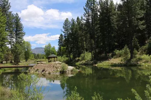 View/Area - 1000 Golden Feather Ranch Rd, Graeagle, CA 96103 photo 3 of 6
