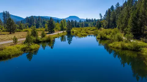 1000 Golden Feather Ranch Rd, Graeagle, CA 96103