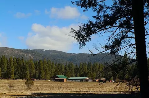 Other - 1000 Golden Feather Ranch Rd, Graeagle, CA 96103 photo 2 of 10