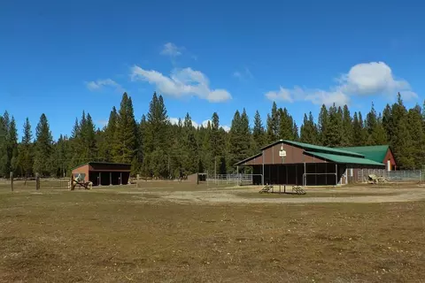 Exterior - 1000 Golden Feather Ranch Rd, Graeagle, CA 96103 photo 3 of 10