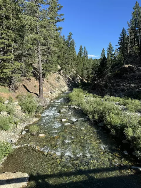 329 Clio State 40a Rd, Clio, CA 96106 photo 29