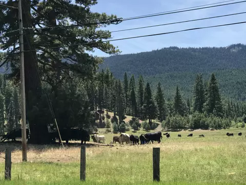 329 Clio State 40a Rd, Clio, CA 96106 photo 17