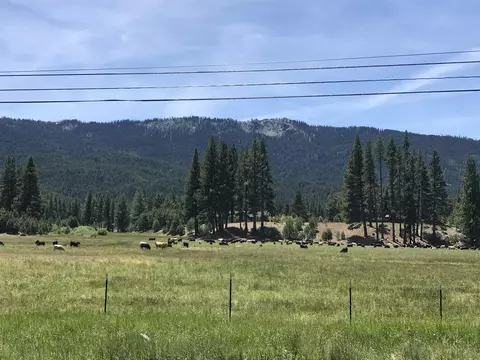 329 Clio State 40a Rd, Clio, CA 96106 photo 18