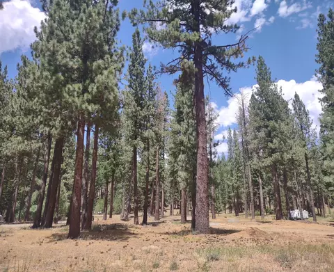 329 Clio State 40a Rd, Clio, CA 96106 photo 9