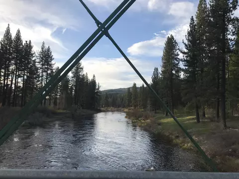 329 Clio State 40a Rd, Clio, CA 96106 photo 23