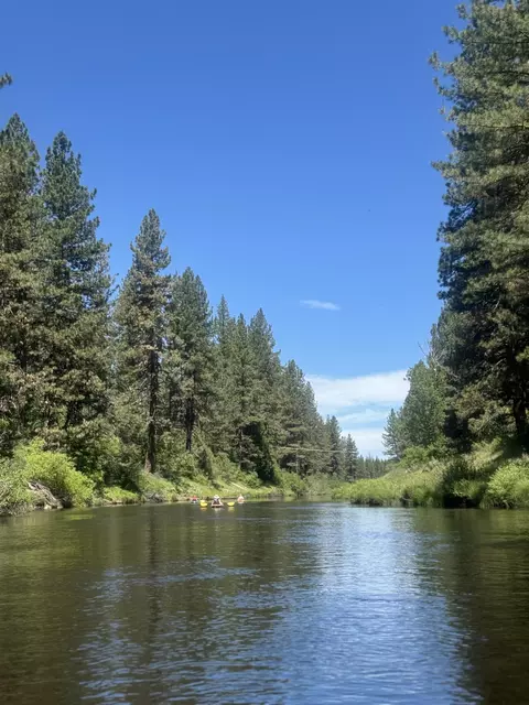 329 Clio State 40a Rd, Clio, CA 96106 photo 16