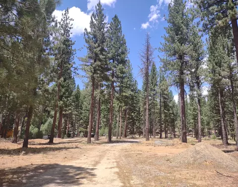 329 Clio State 40a Rd, Clio, CA 96106 photo 12