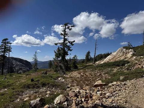 329 Clio State 40a Rd, Clio, CA 96106 photo 30