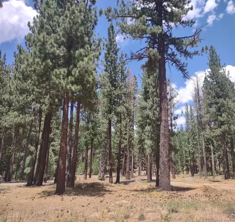 329 Clio State 40a Rd, Clio, CA 96106 photo 11