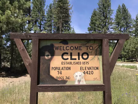 329 Clio State 40a Rd, Clio, CA 96106 photo 20