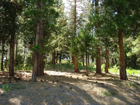 43 Snowbush Way, Portola, CA 96122