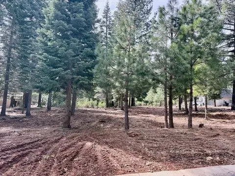 314 Alpine Fir Rd #CW, Lake Almanor, CA 96137