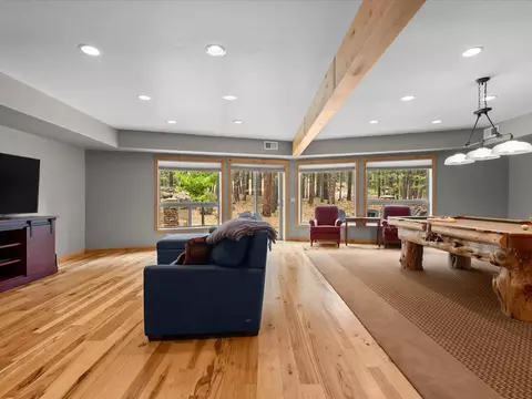 Living - 213 Cody Dr, Clio, CA 96106 photo 6 of 7