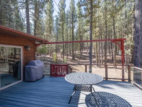 Exterior - 213 Cody Dr, Clio, CA 96106 photo 5 of 11