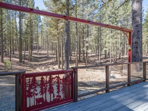 Exterior - 213 Cody Dr, Clio, CA 96106 photo 6 of 11