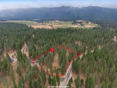 View/Area - 213 Cody Dr, Clio, CA 96106 photo 2 of 2