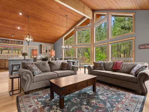 Living - 213 Cody Dr, Clio, CA 96106 photo 4 of 7