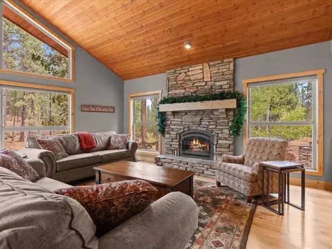 Living - 213 Cody Dr, Clio, CA 96106 photo 5 of 7