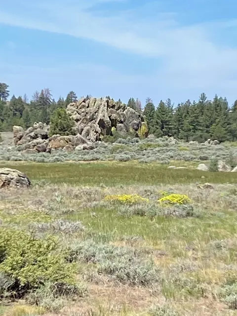 Nnnn Doyle Grade, Chilcoot, CA 96105 photo 9