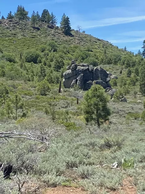 Nnnn Doyle Grade, Chilcoot, CA 96105 photo 6