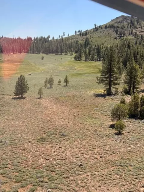 Nnnn Doyle Grade, Chilcoot, CA 96105 photo 5