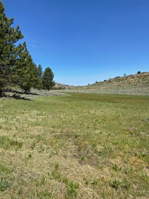 Nnnn Doyle Grade, Chilcoot, CA 96105 photo 4