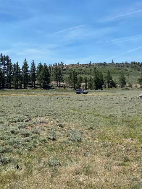 Nnnn Doyle Grade, Chilcoot, CA 96105 photo 3