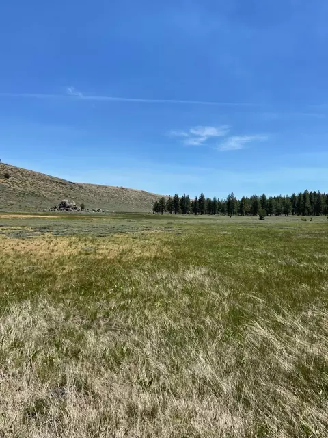 Nnnn Doyle Grade, Chilcoot, CA 96105 photo 7