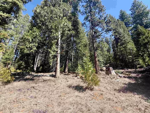 7400 Highway 147, Lake Almanor, CA 96137