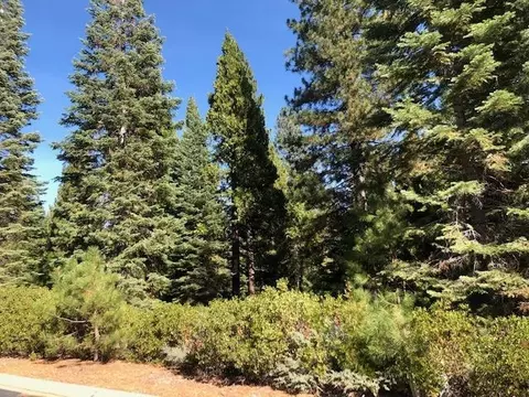 89 Fox Crest Dr, Lake Almanor, CA 96137