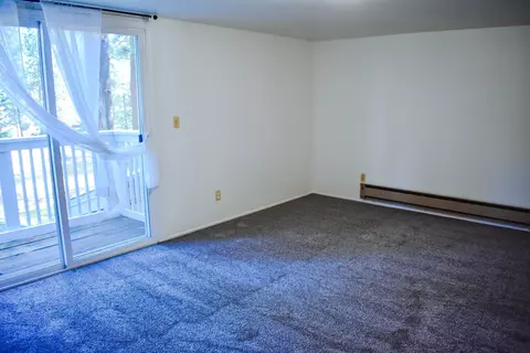 Other - 2 Sugar Pine Dr, Blairsden, CA 96103 photo 2 of 3