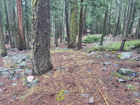 5 Yana Trl, Graeagle, CA 96103 photo 4
