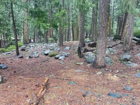 5 Yana Trl, Graeagle, CA 96103 photo 5