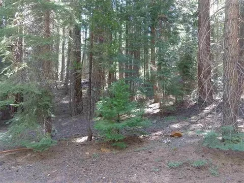 429 Big Meadows Rd, Canyondam, CA 95923