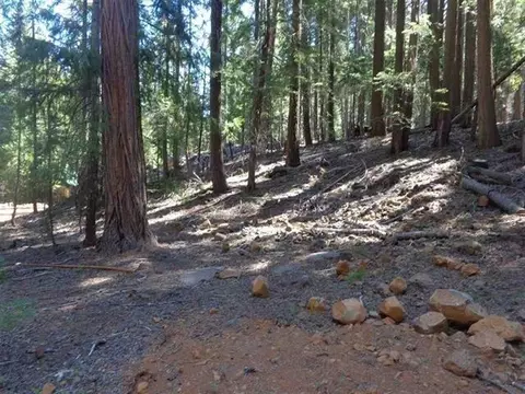 411 Big Meadows Rd, Canyondam, CA 95923